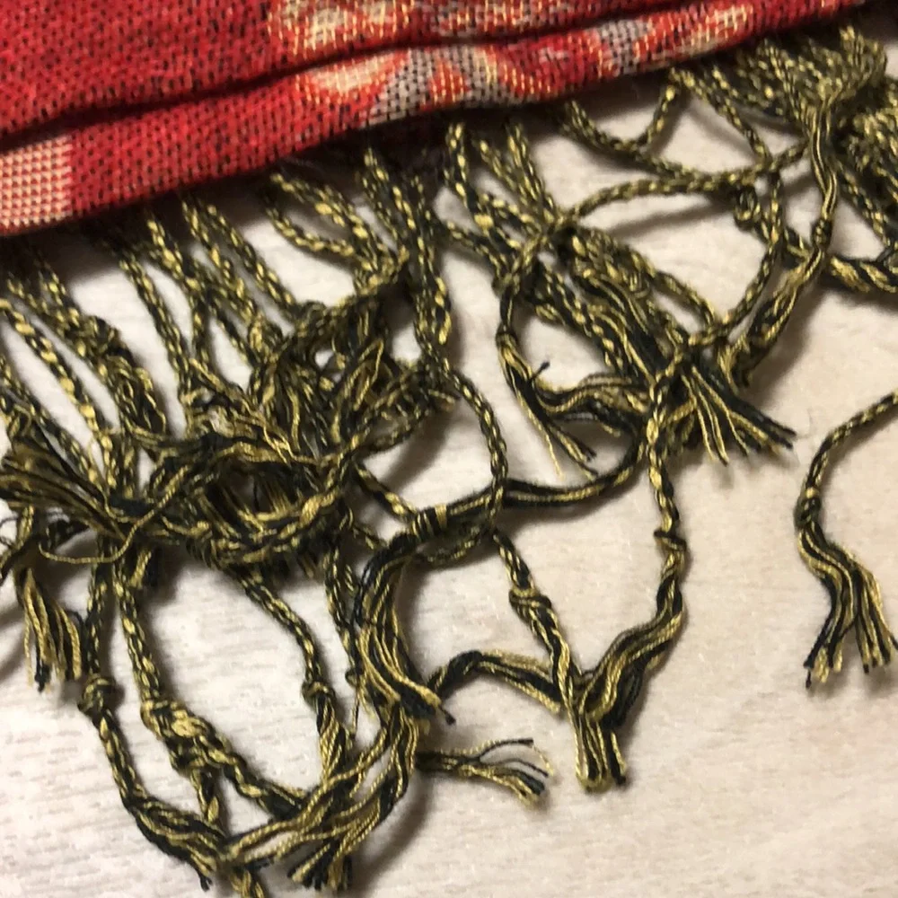 Paisley Pashminia with fringe